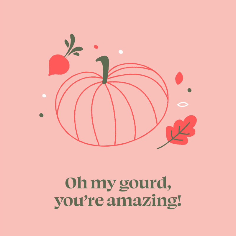 Oh my gourd illustration