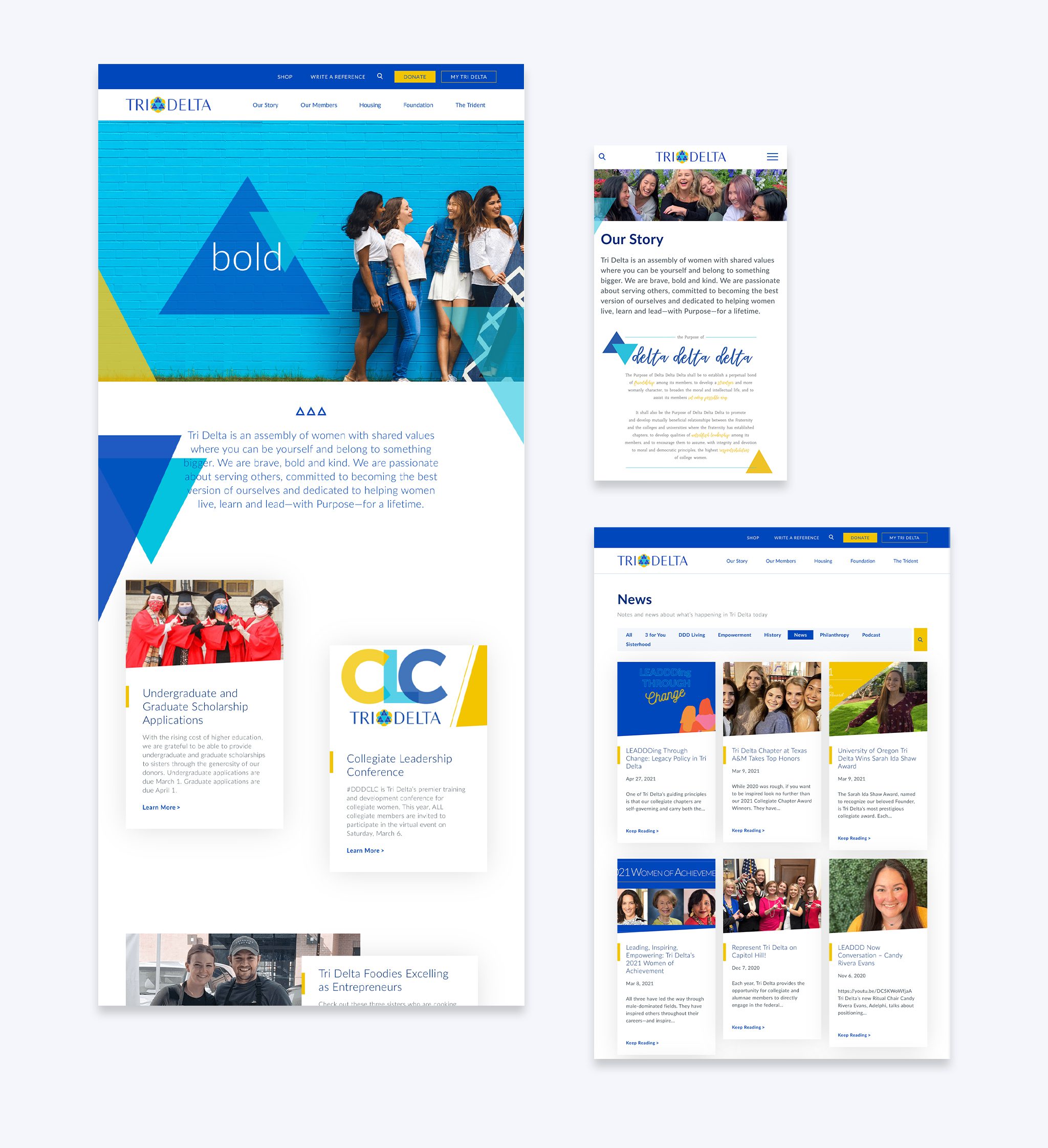 Tri Delta website flat page layouts