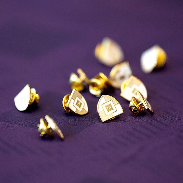 A jumble of pins in the shape of DTDF's new Forging the Future shield design