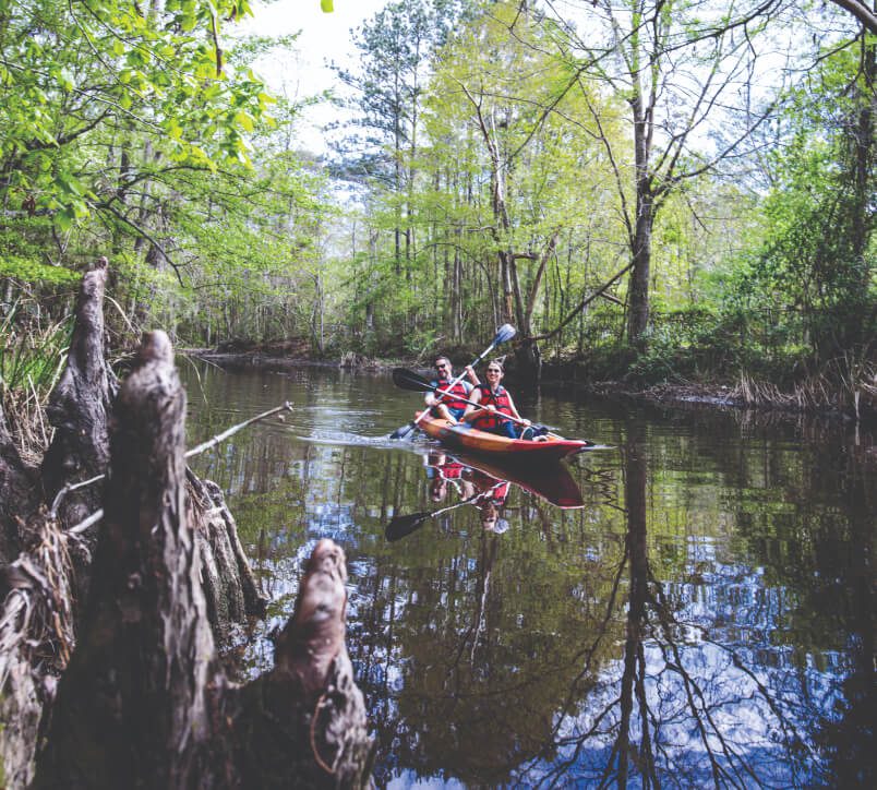 Couple kayaking in bayou