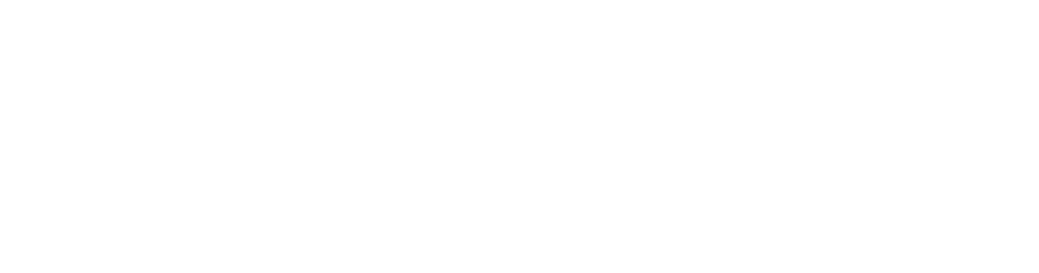 PIKE primary logo - white