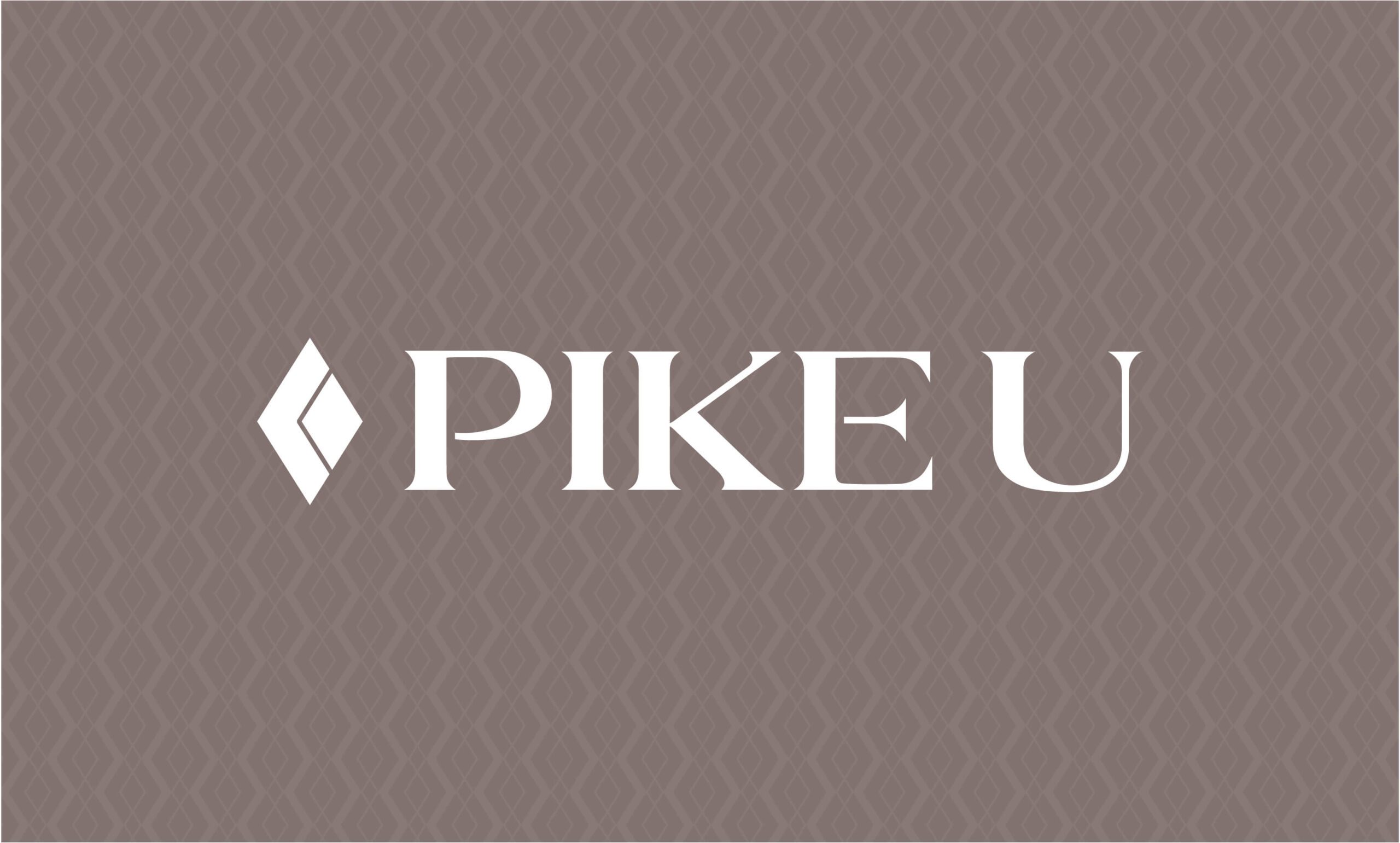 PIKEU logo reversed on pattern background