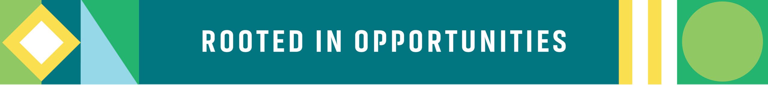 Geometric patterns around the tagline, Rooted in Opportunities