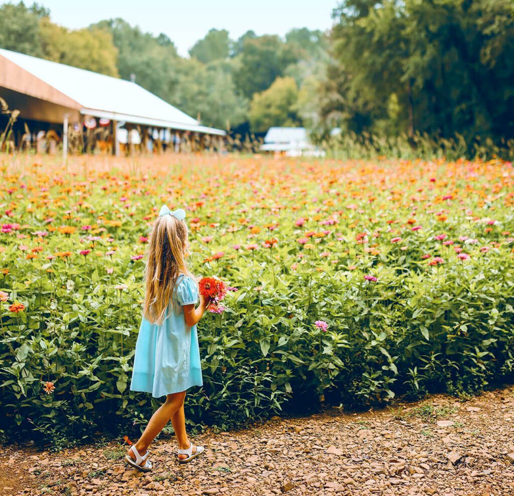 Girl walking through flower field